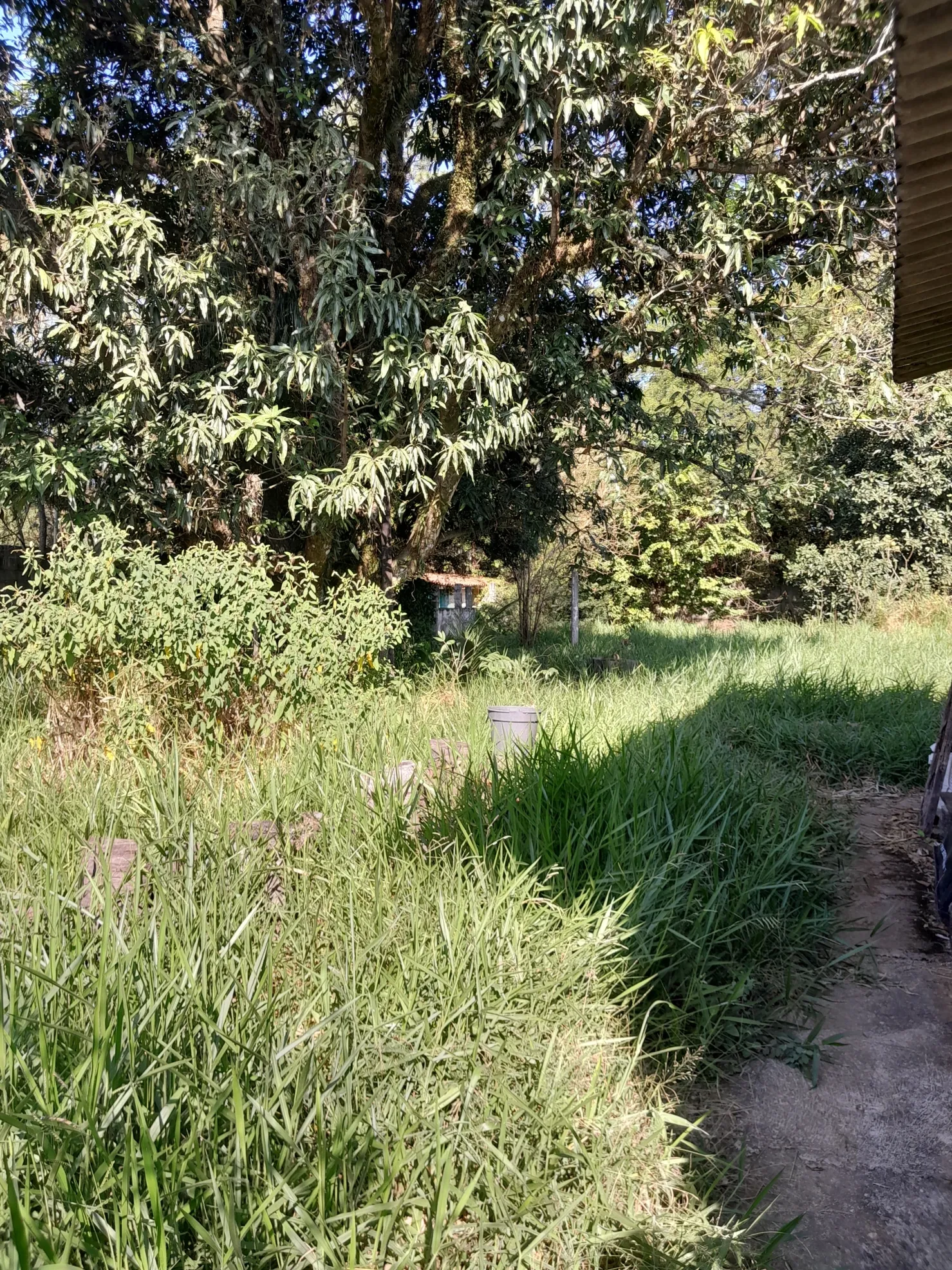 Imagem Excelente chácara para venda em Pindamonhangaba próxima ao centro