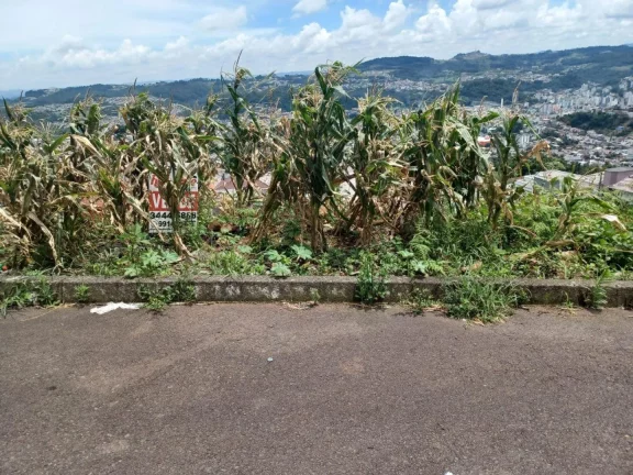 Imagem Terreno para Venda em Concórdia, Nações