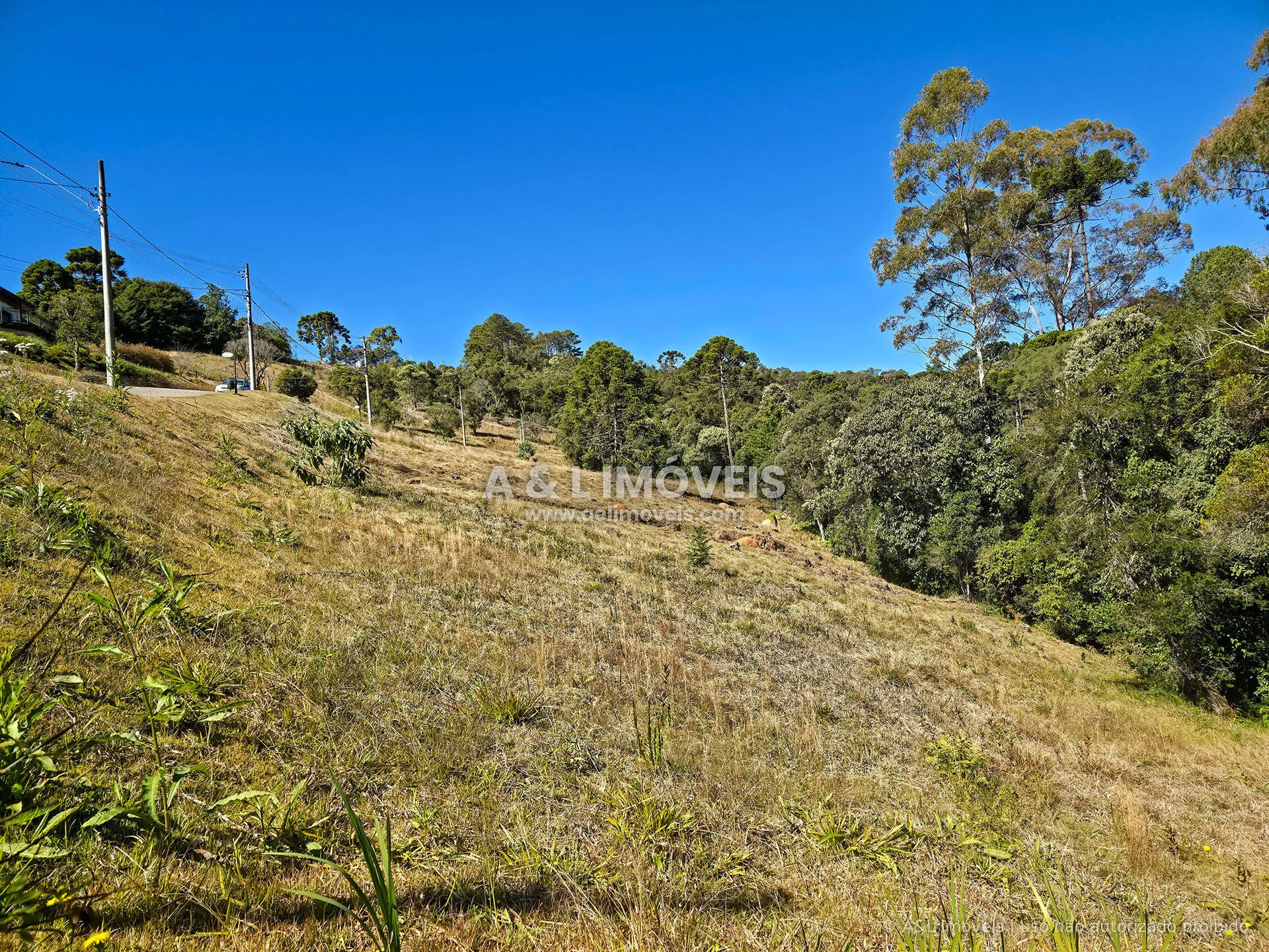 Imagem Lote à venda no Reserva Figueiredo | Campos do Jordão