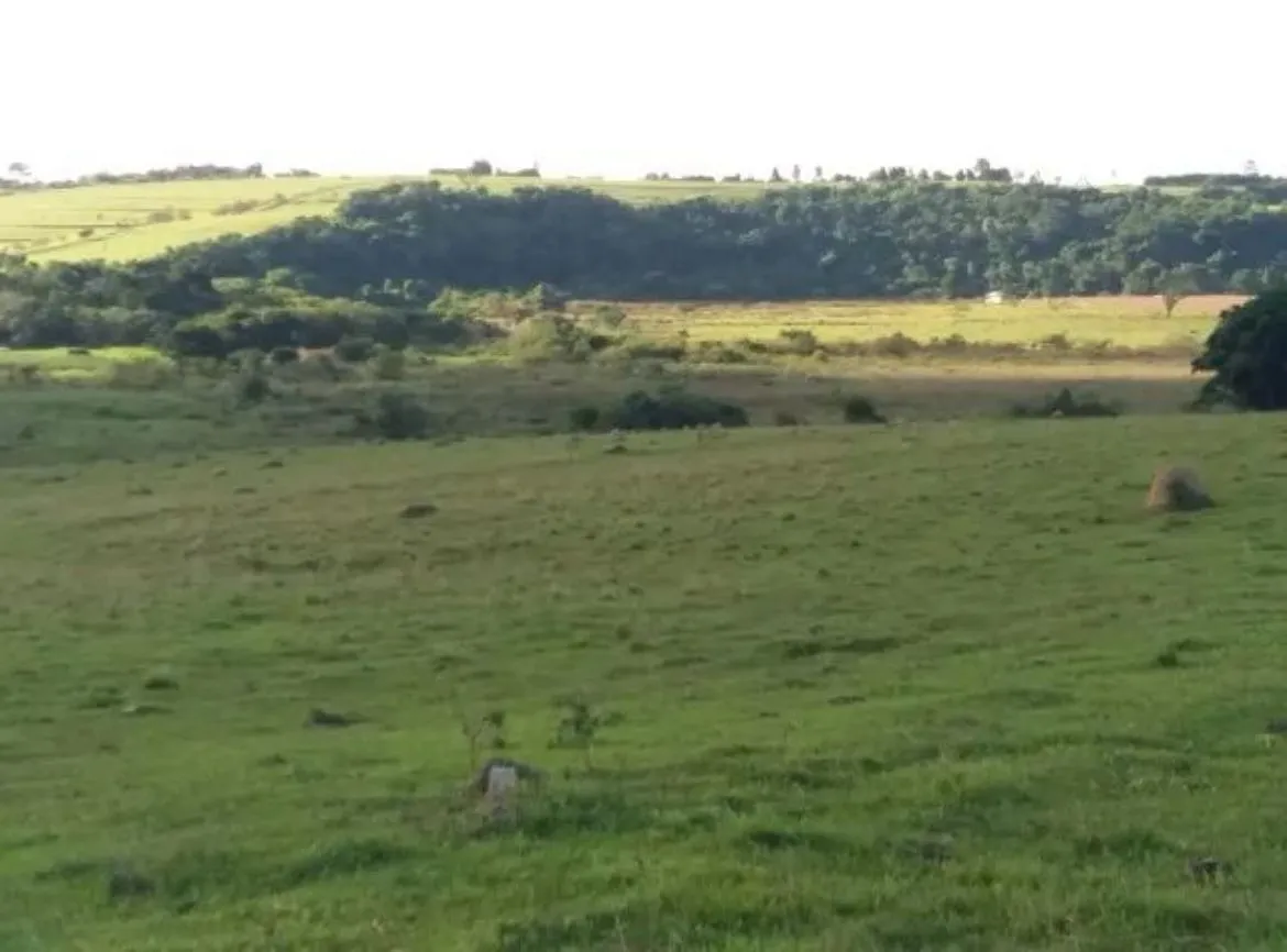 Imagem Área de 276 mil m² na Rodovia Sorocaba?Iperó ? Ideal para Loteamentos