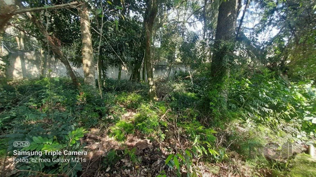 Imagem Casa em Nonoai