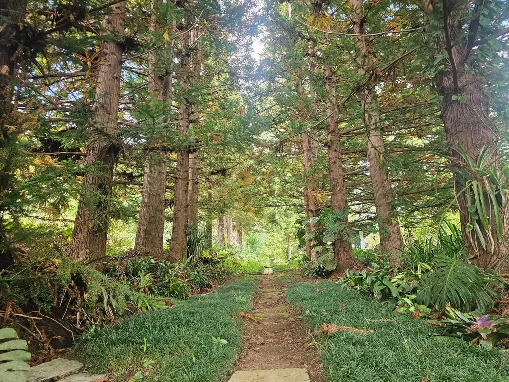 Imagem Sítio para Venda em Teresópolis / RJ no bairro Campanha