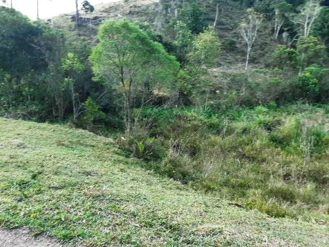 Imagem Chácara à venda 170000M², Paraibuna, Cunha - SP