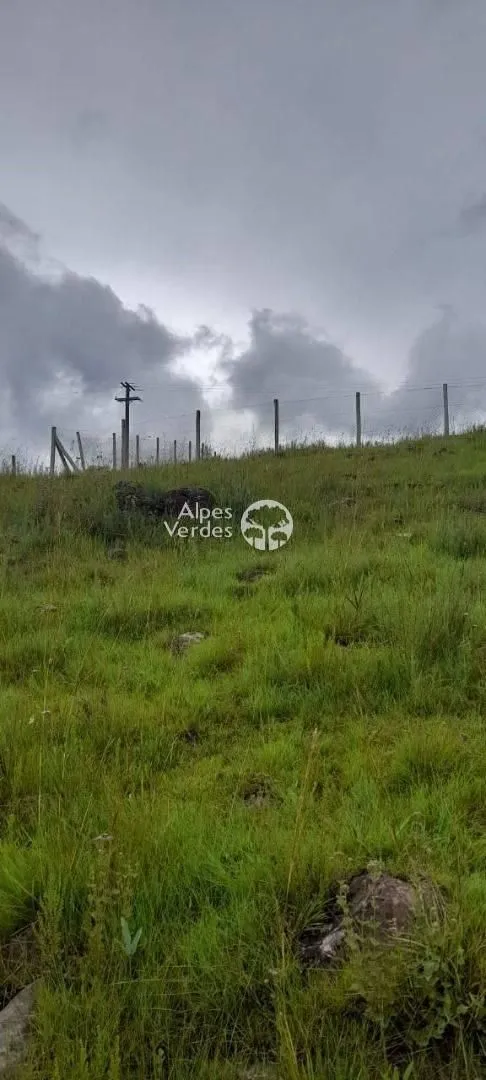 Imagem Terreno á venda por R$ 115.000,00 - Vila Eletra, São Francisco de Paula/RS