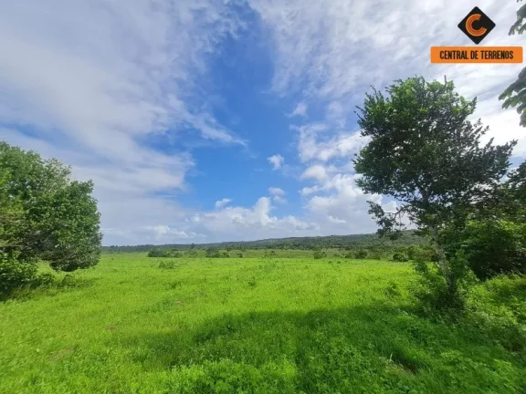 Foto do imóvel TERRENO EM BARRA DE POJUCA - LINHA VERDE