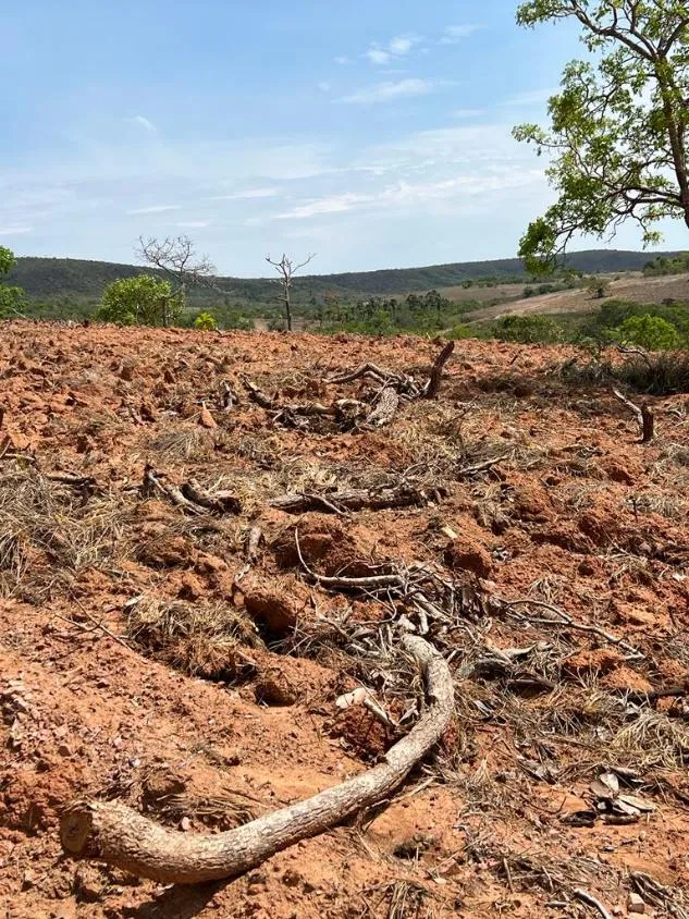 Imagem FAZENDA À VENDA - SÃO GONÇALO DO ABAETÉ (MG) 1.250 hectares de área total.