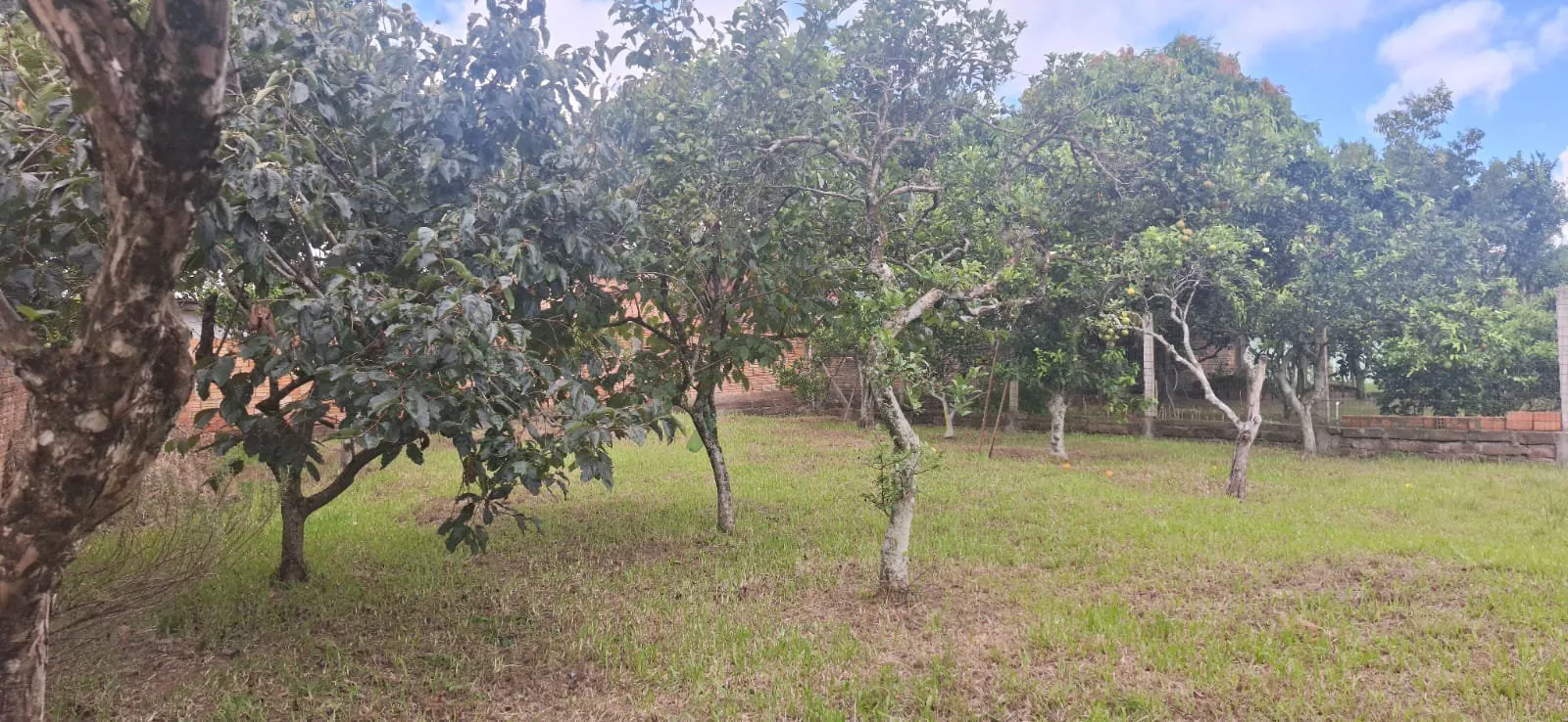 Imagem Casa à venda em Viamão, São Lucas - Terreno com 600m2
