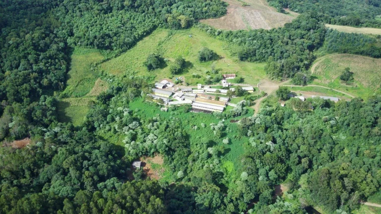 Imagem Granja para Venda em Irani, Rural