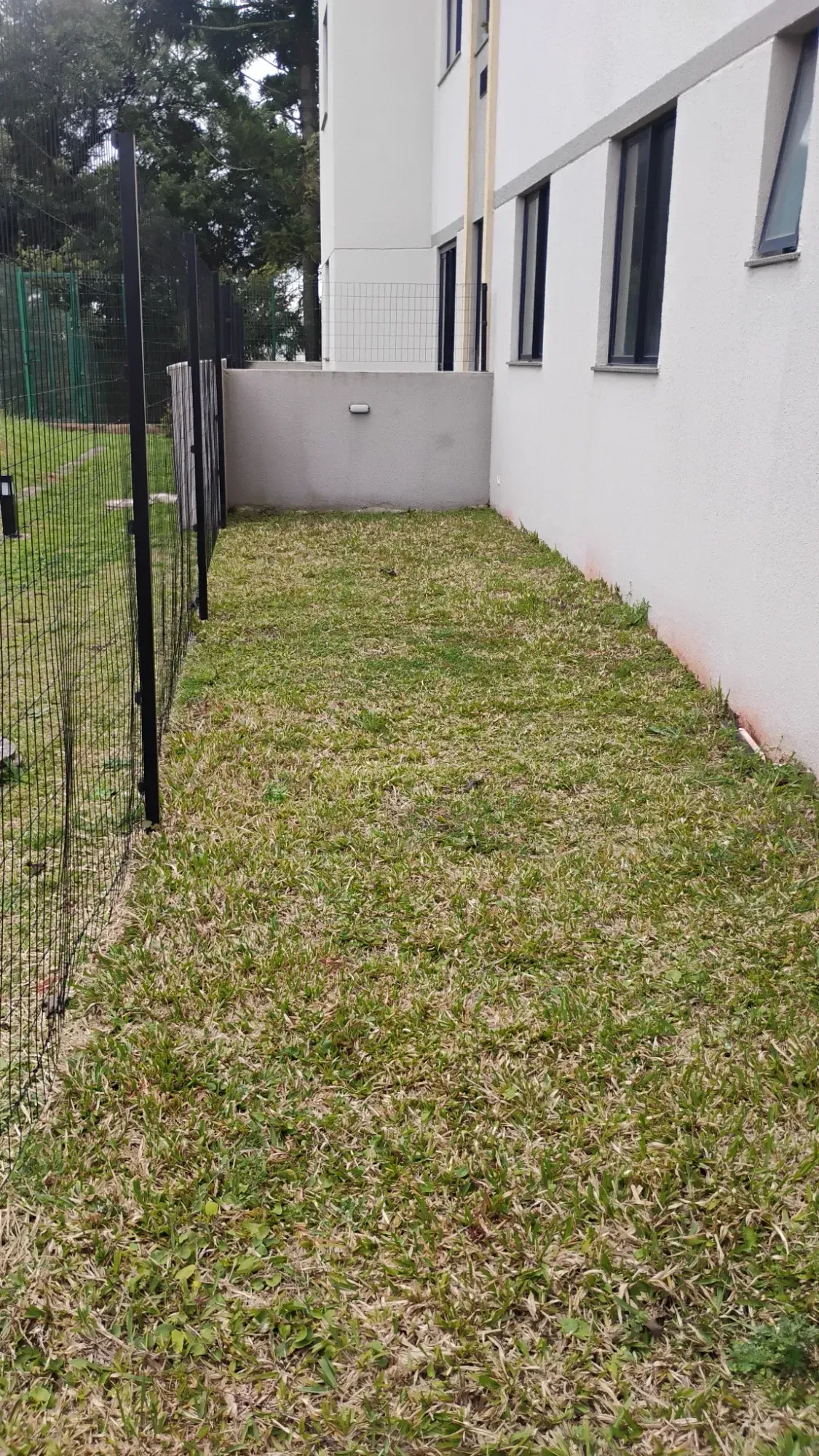 Imagem Apartamento com 2 Quartos para Alugar, 46 m² em Fazenda Velha - Araucária