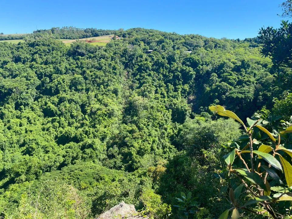 Imagem Chácara para venda , localizado em São João do Deserto, Lomba Grande em Novo Hamburgo/RS.