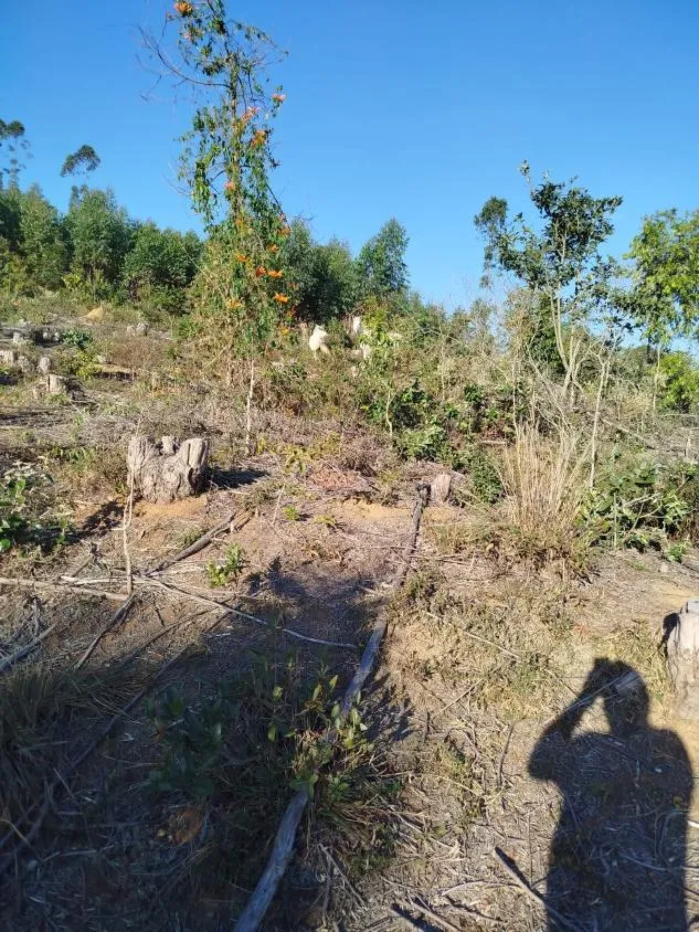 Imagem Vendo uma excelente fazenda em Oliveira / MG 100 hectares de área total;