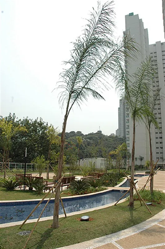 Imagem Condomínio Ventana Panamby São Paulo, apartamento à venda com 4 quartos em Panamby São Paulo