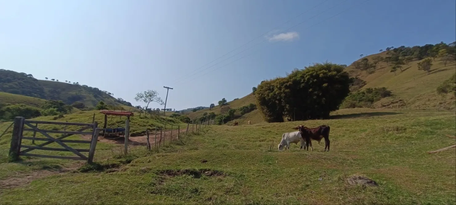 Imagem Chácara à venda 580800M², Centro, Cunha - SP