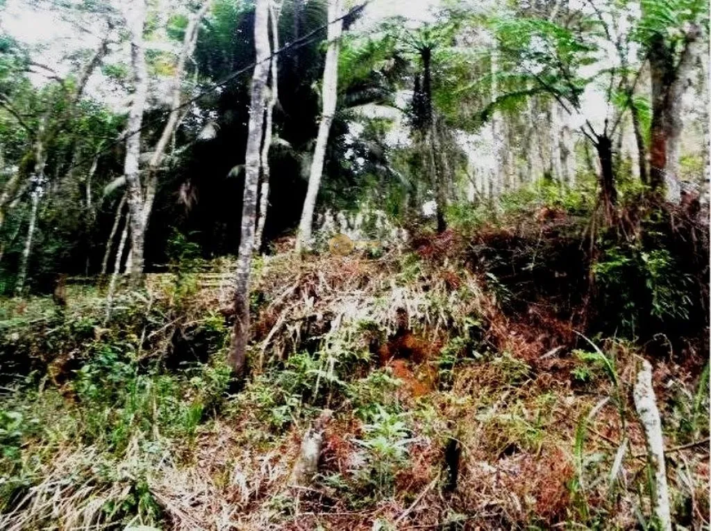 Imagem Terreno para Venda em Teresópolis / RJ no bairro Albuquerque