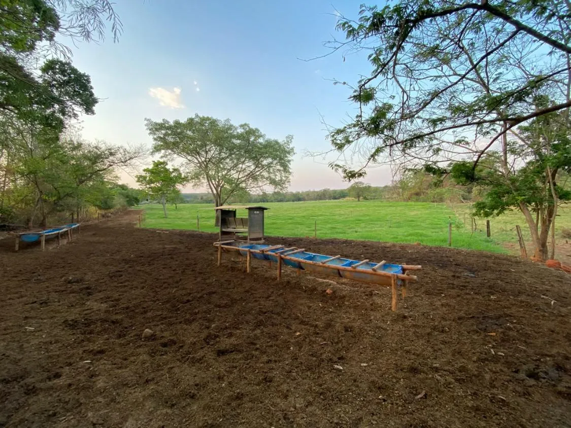 Imagem FAZENDA À VENDA EM FELIXLÂNDIA/MG | 105 HECTARES