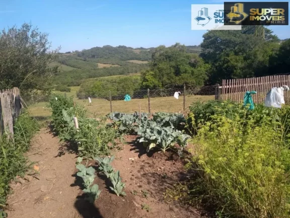 Imagem Sítio para Venda em Centro Morro Redondo-RS - 1645