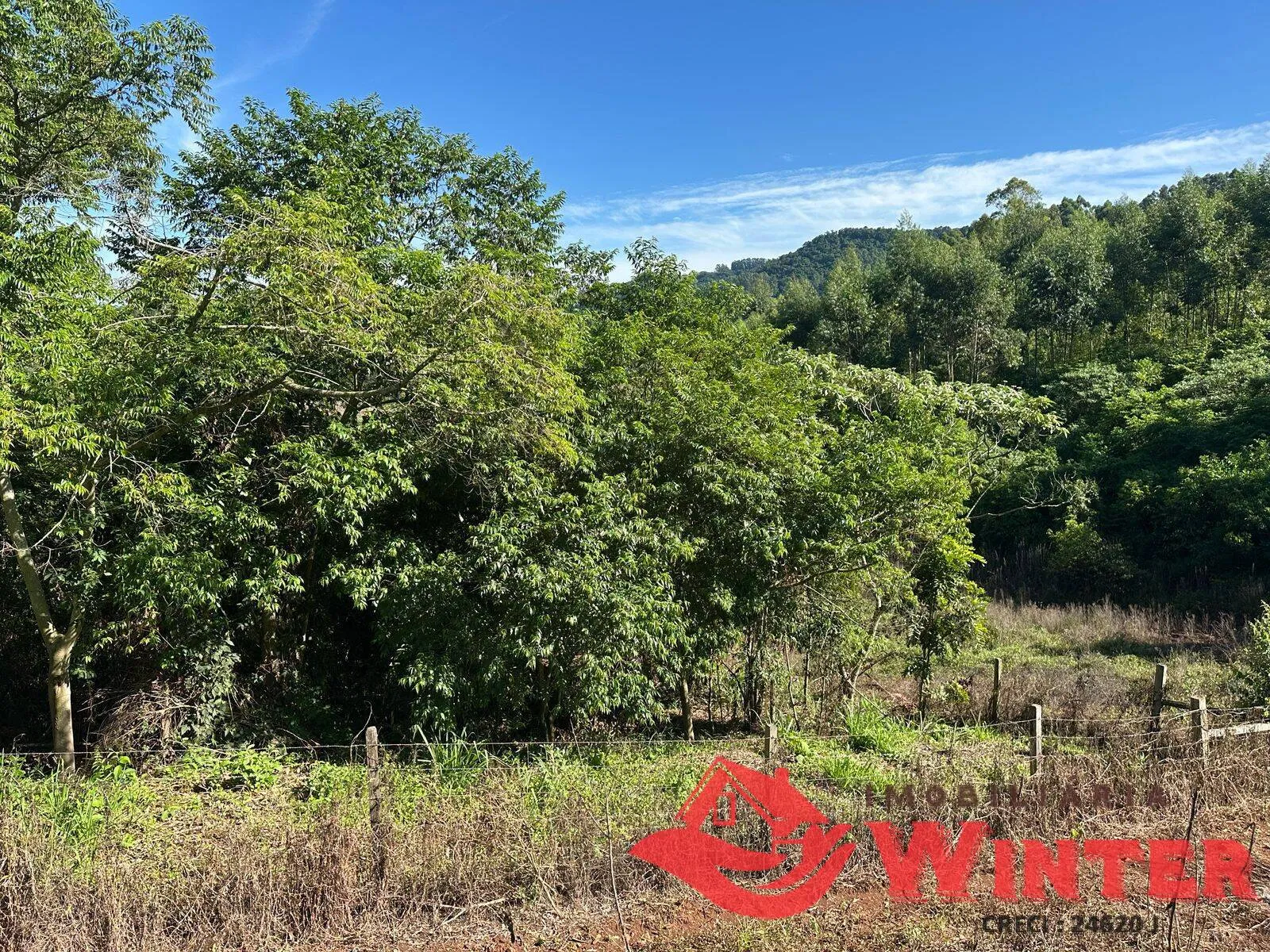 Imagem Area de terras frente para RS 122 em São Vendelino.