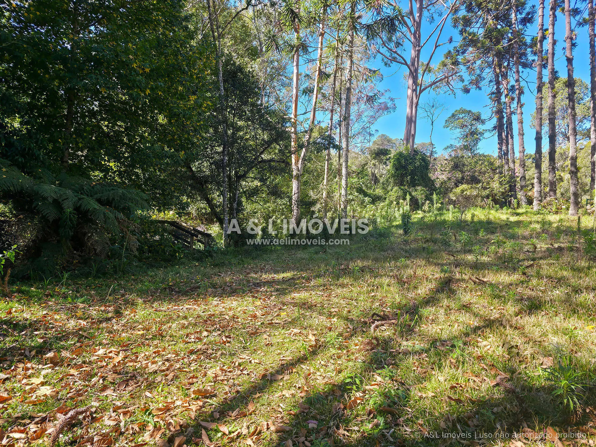 Imagem Lote à venda no Reserva Figueiredo | Campos do Jordão
