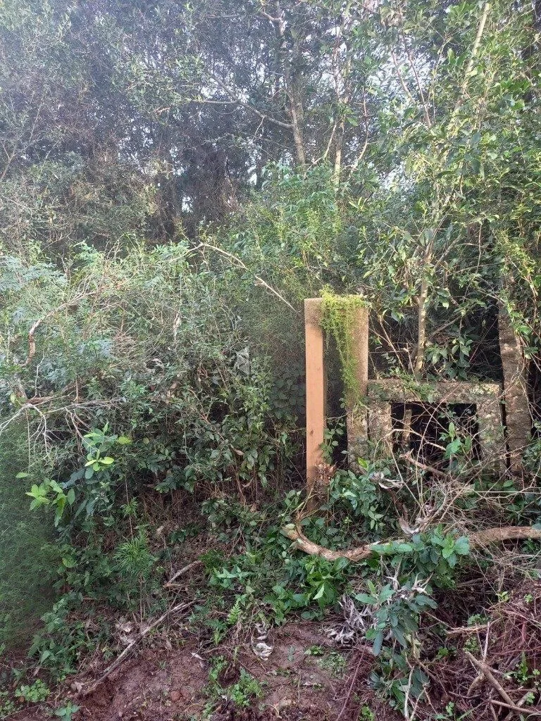 Imagem Terreno no bairro Aberta dos Morros em Porto Alegre