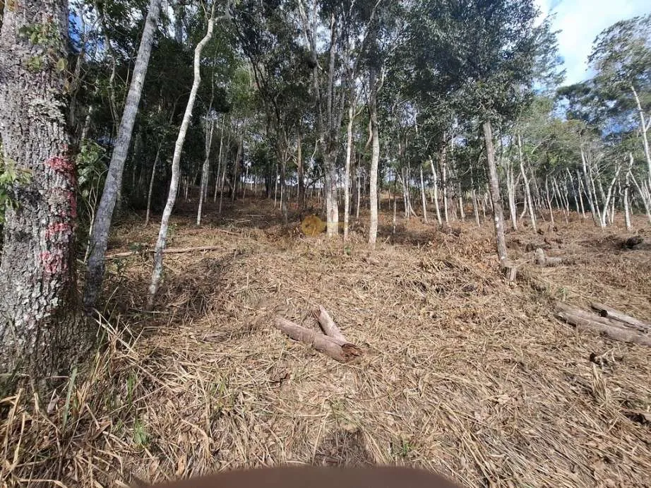 Imagem Terreno em Condomínio para Venda em Teresópolis / RJ no bairro Cascata do Imbuí