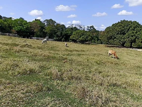 Imagem Sitio com água abundante - OPORTUNIDADE no Interior de São Paulo