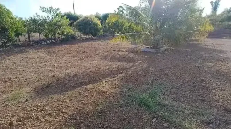 Imagem Terreno à Venda, 1000 m² em Esperantina - Esperantina