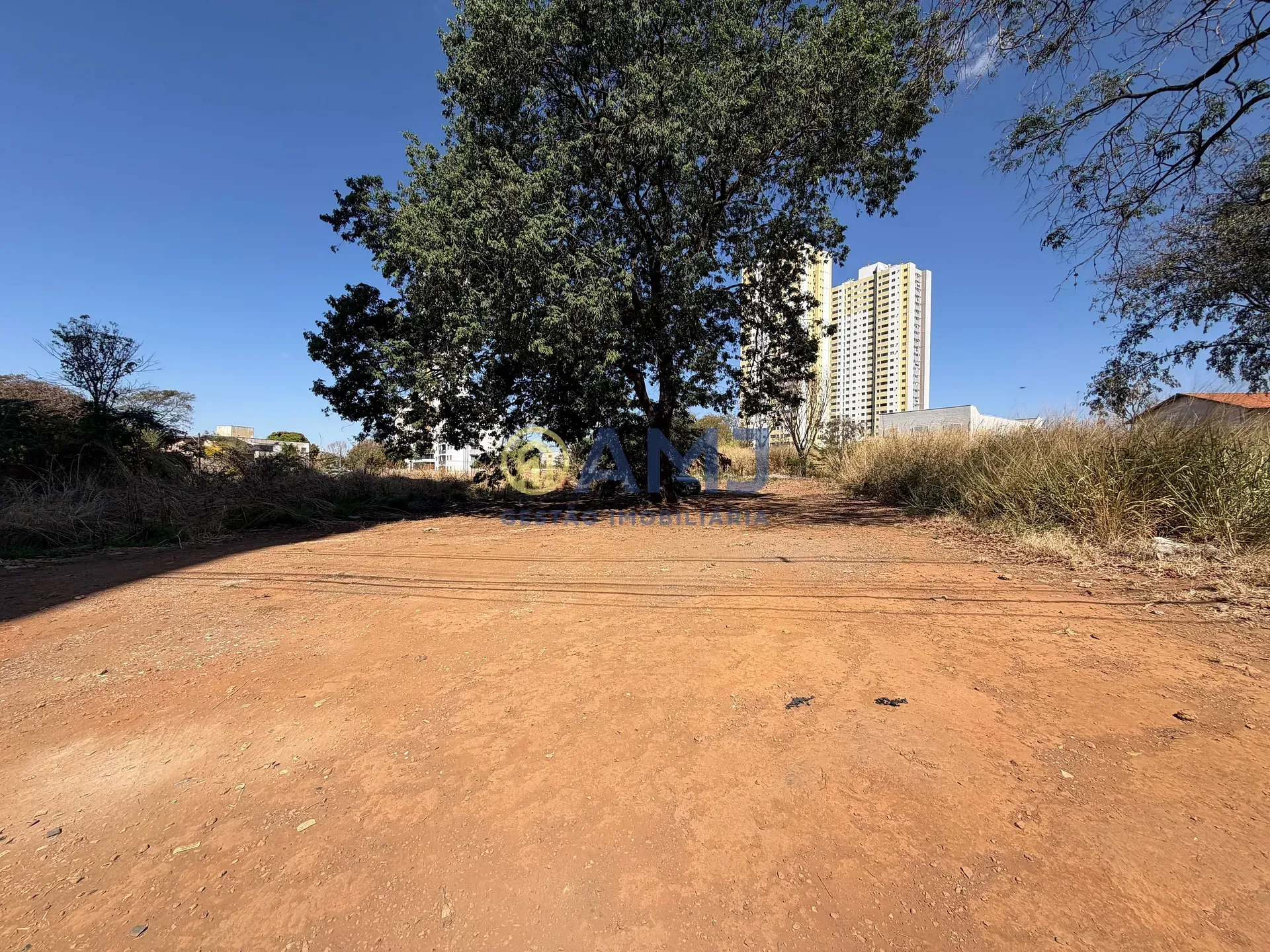 Imagem TERRENO À VENDA | 801,80 m² | VILA ROSA - GOIÂNIA