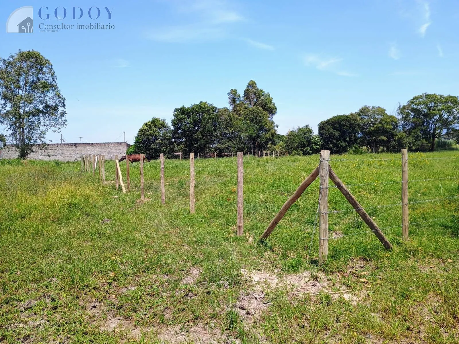 Imagem Terreno de 3.000 m² no Bairro Mandu - Excelente Localização!