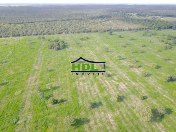 Imagem Fazenda de Oportunidade com 1.443 Hectares em Cocalinho MT