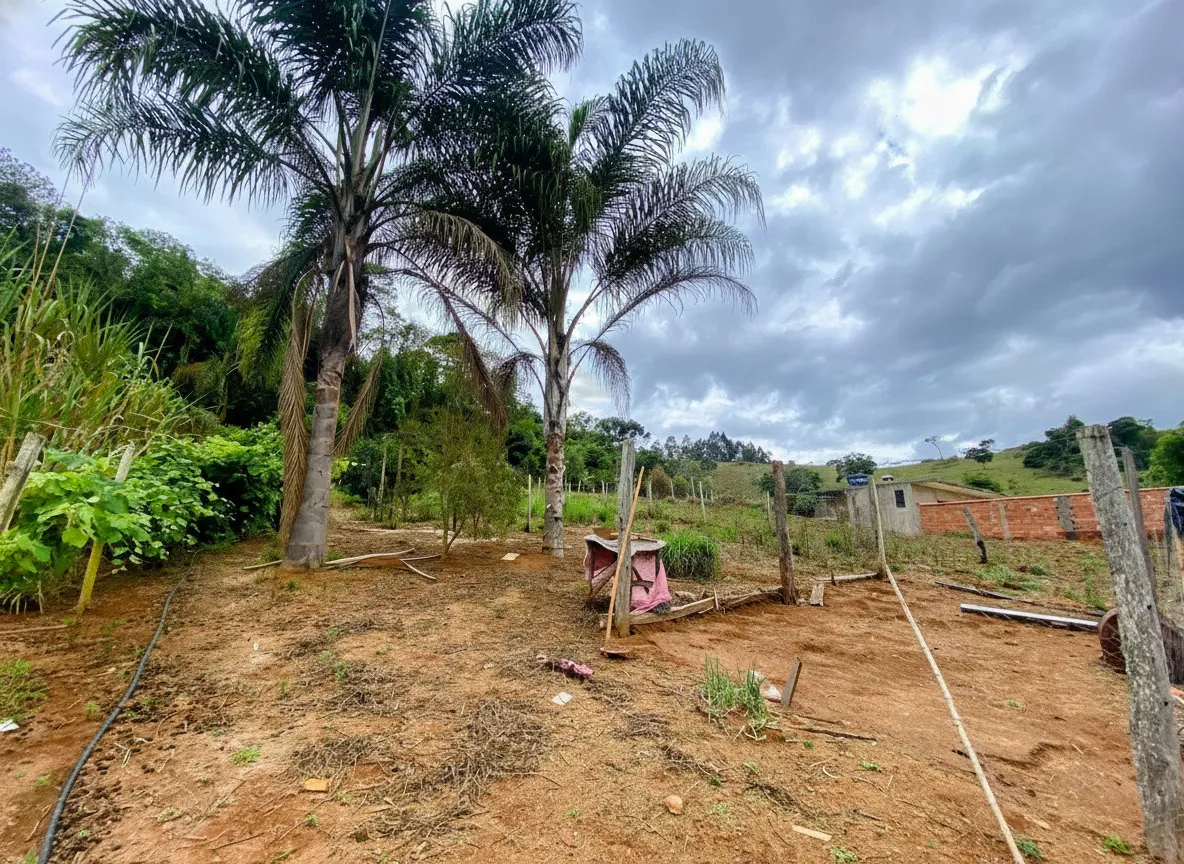 Imagem Chácara 700 m² à venda em Marlene, Bandeira do Sul