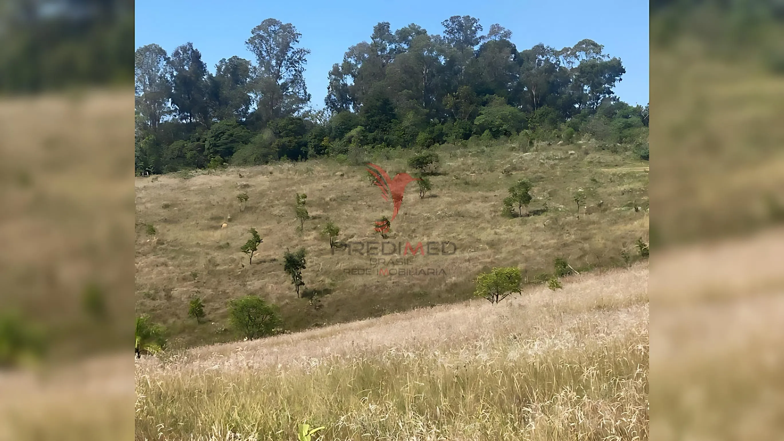 Imagem Área Para Exploração de Quartzo