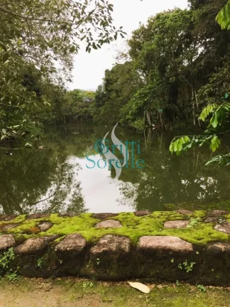 Imagem Terreno à Venda em Condomínio no Horto Florestal - Ubatuba/SP