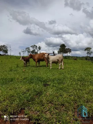 Imagem Fazenda na AGENTINA SAN ANTONIO com 100 alqueires, 300 vacas terneiro aí pé NA ARGENTINA AR