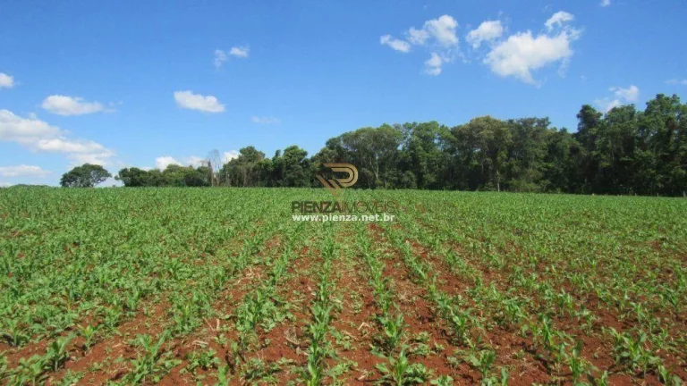 Imagem Área para Loteamento para Venda em Concórdia, São Cristóvão
