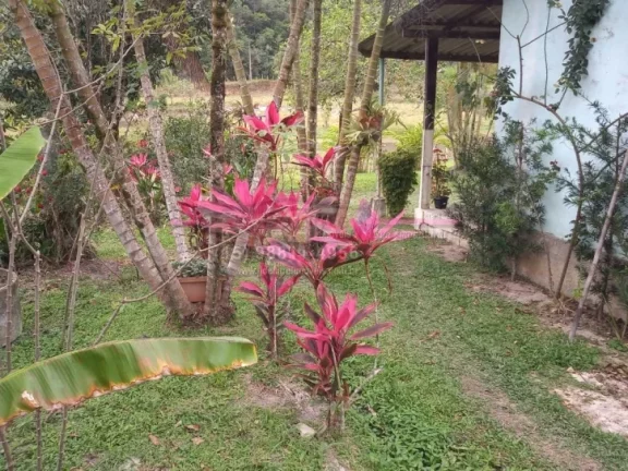 Imagem Sítio a venda em Jacupiranga, estrada do Padre André, interior de São Paulo. O Sítio mede 7, 2 h...