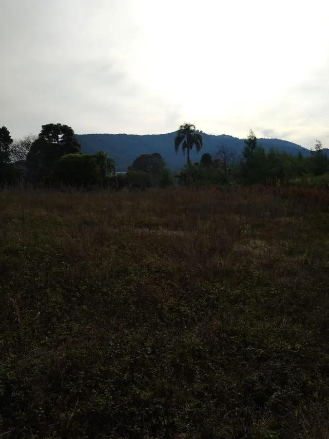 Imagem Chácara para Venda em Gramado / RS no bairro Várzea Grande Linha Carara