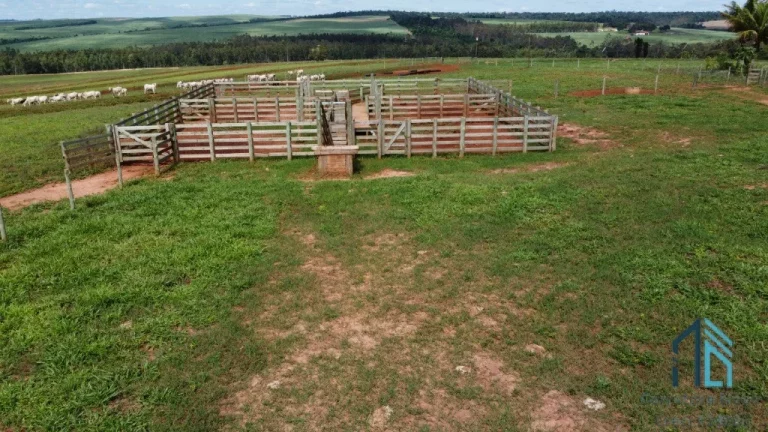 Imagem Fazenda, excelente área rural 87.5 alqueires em Ivaté, próximo a Umuarama no Parana Pr