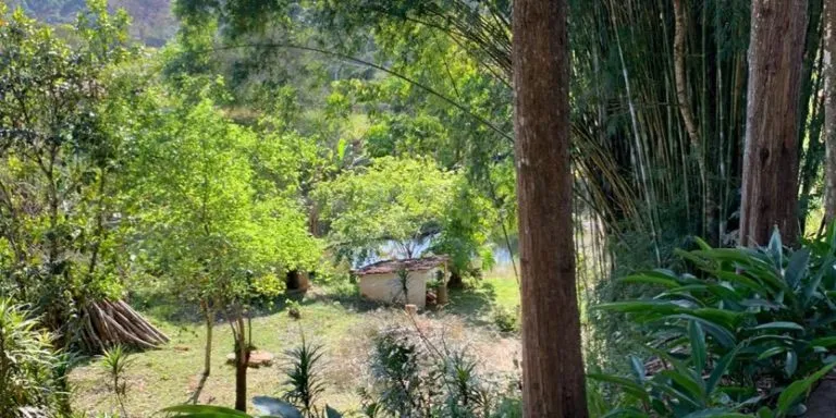 Imagem Chácara com 3 Quartos à Venda, 24.000 m² em Centro - Santa Isabel