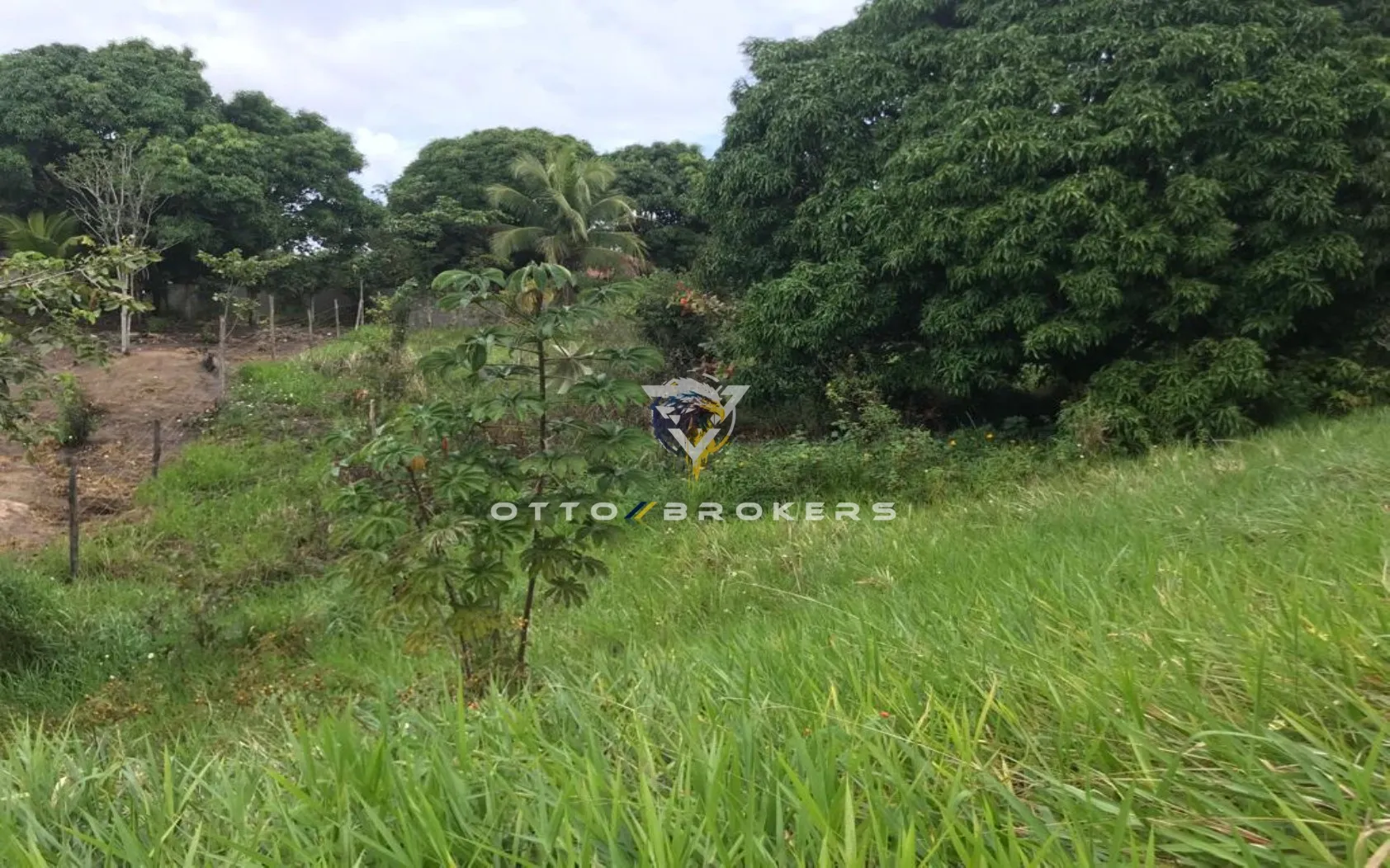 Imagem AREA RESIDENCIAL em SANTA CRUZ CABRÁLIA - BA, TÂNIA