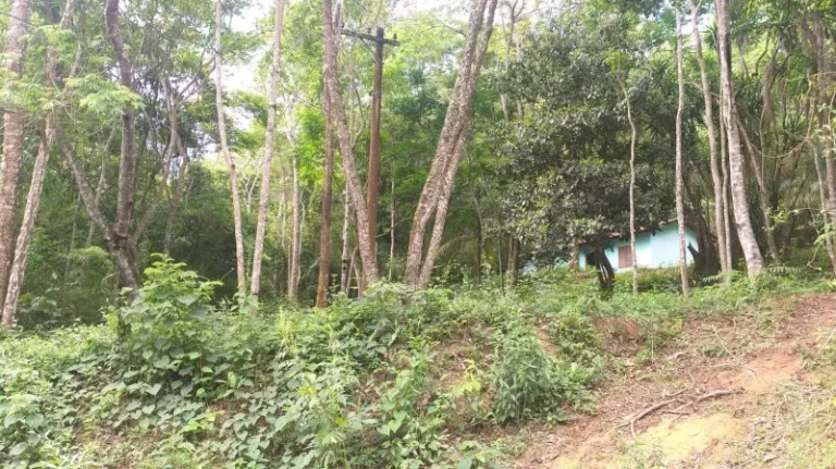 Imagem Sítio - Venda em Cabreúva e Região/SP