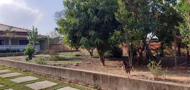 Imagem CASA - PERSEU LEITE DE BARROS - CAMPINAS