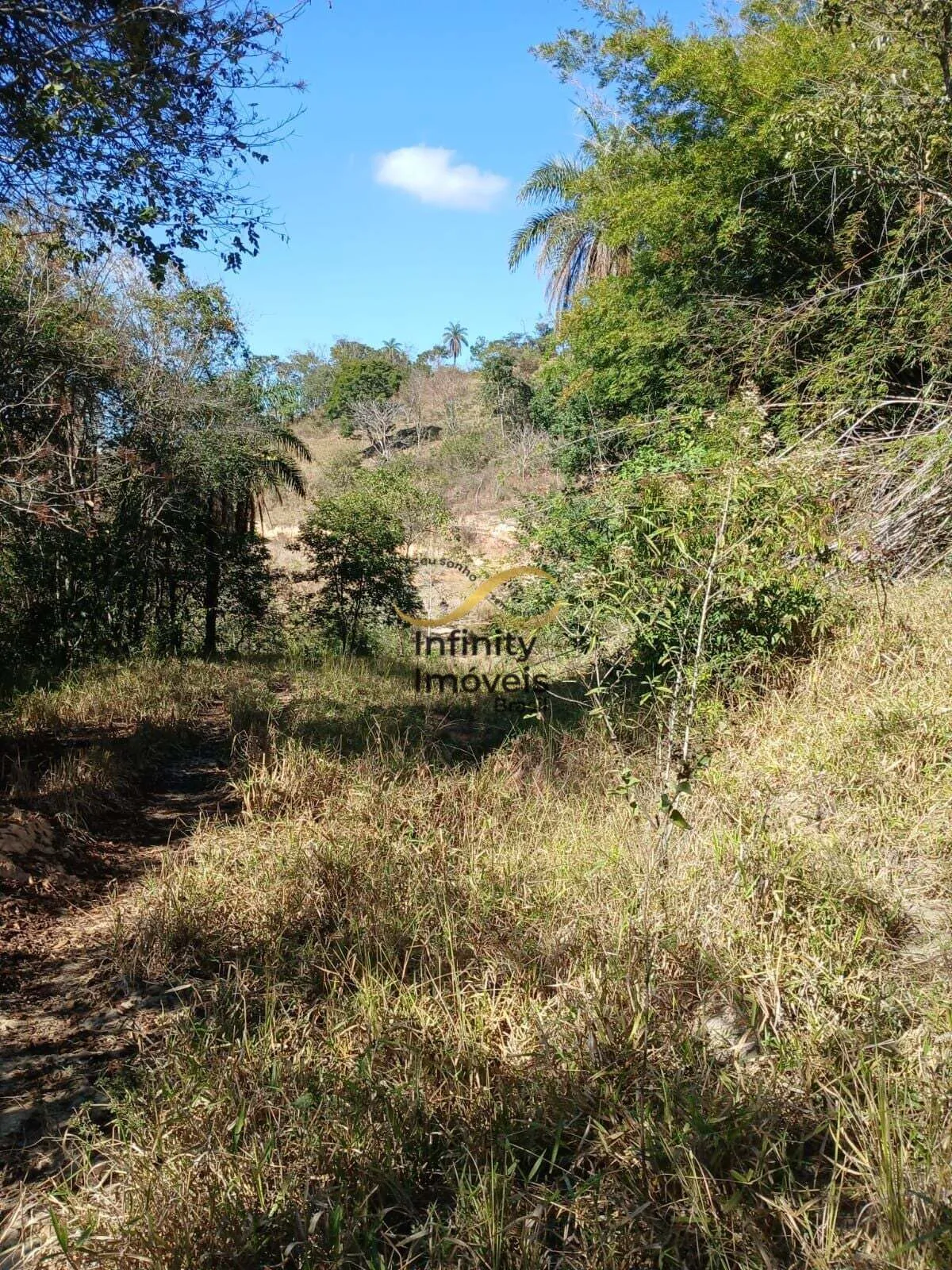 Imagem Sítio à venda no bairro Inácia de Carvalho - São José da Lapa/MG