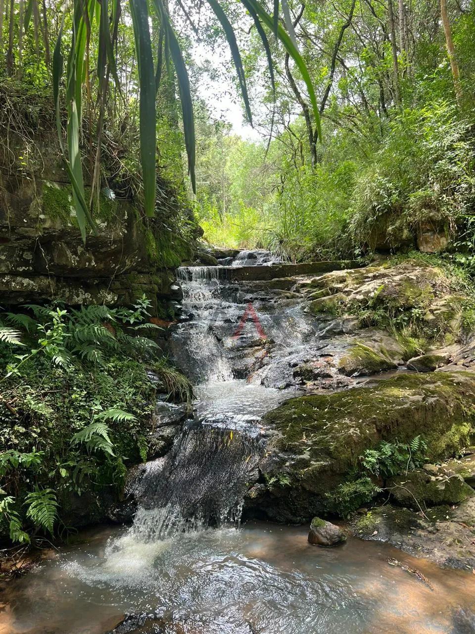 Imagem Chácara à venda,5.76 m , RIO DAS PEDRAS, GUARAPUAVA - PR