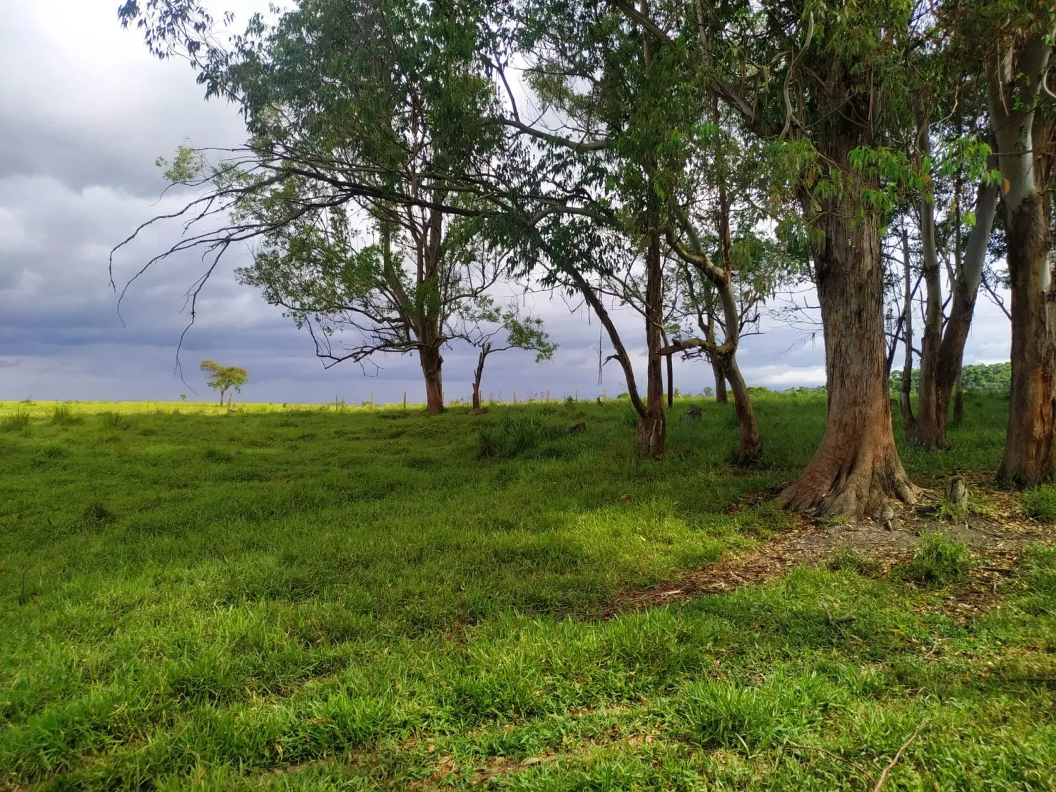 Imagem Chácara à venda 170000M², Bom Sucesso, Pindamonhangaba - SP