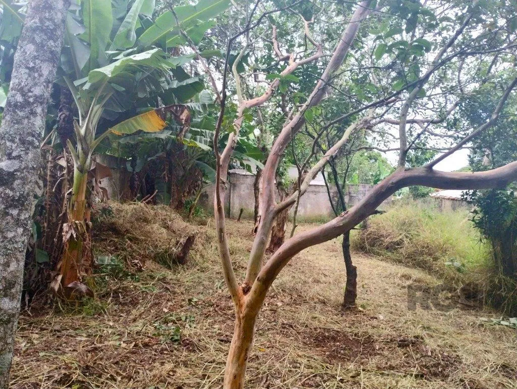 Imagem Terreno de 440m² no bairro Belém Novo