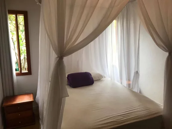 Imagem TERRA DOS PÁSSAROS