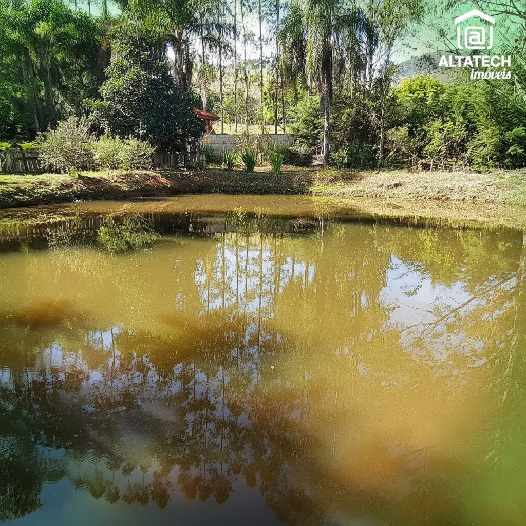 Imagem Chácara à venda em Afonso, Bandeira do Sul
