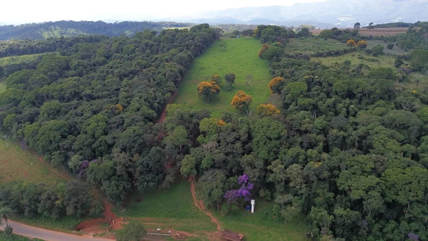 Imagem Excelente sítio a venda em Brumadinho /MG - aproximadamente 6 hectares