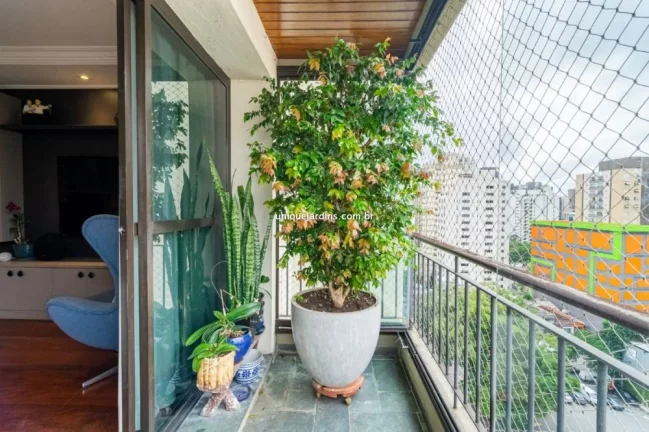 Imagem Apartamento à venda Moema São Paulo
