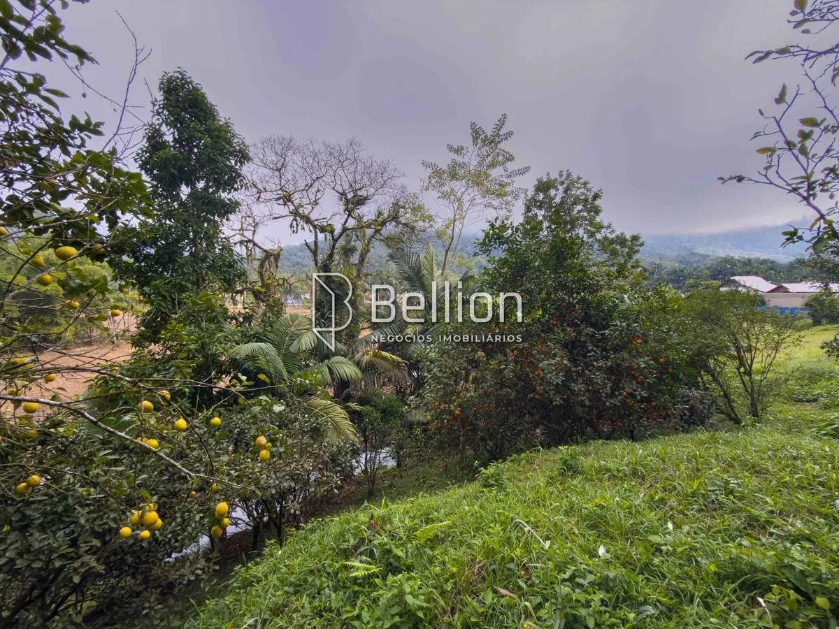 Imagem Investimento com alto potencial de valorização ou o lugar ideal para construir o seu refúgio em meio à natureza, este terreno é para você.